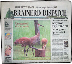 Brainerd Daily Dispatch