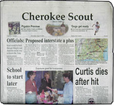 Murphy Cherokee Scout
