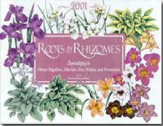 Roots & Rhizomes Catalog Inserts