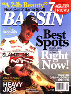 Bassin'