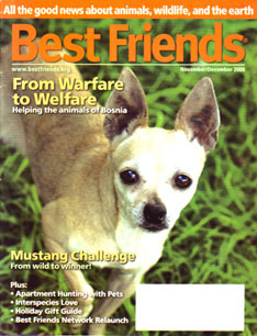Best Friends
