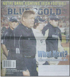 Blue & Gold Illustrated