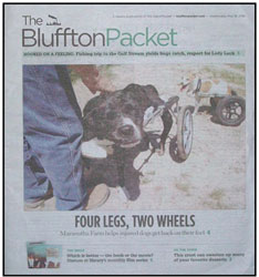 Bluffton Island Packet