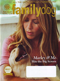 Akc Family Dog. Akc Family Dog Offers Exposure To Akc (american Kennel 