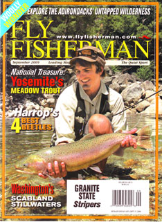 Fly Fisherman