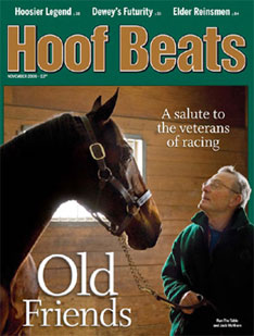 Hoof Beats