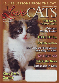 I Love Cats