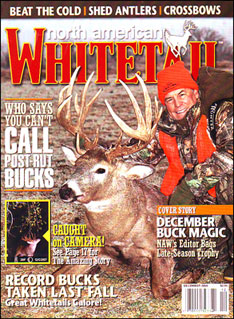 North American Whitetail