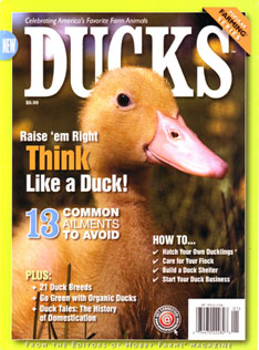 Popular Farming Series - Ducks