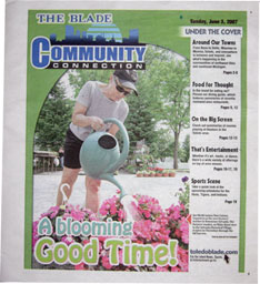Toledo Blade TMC